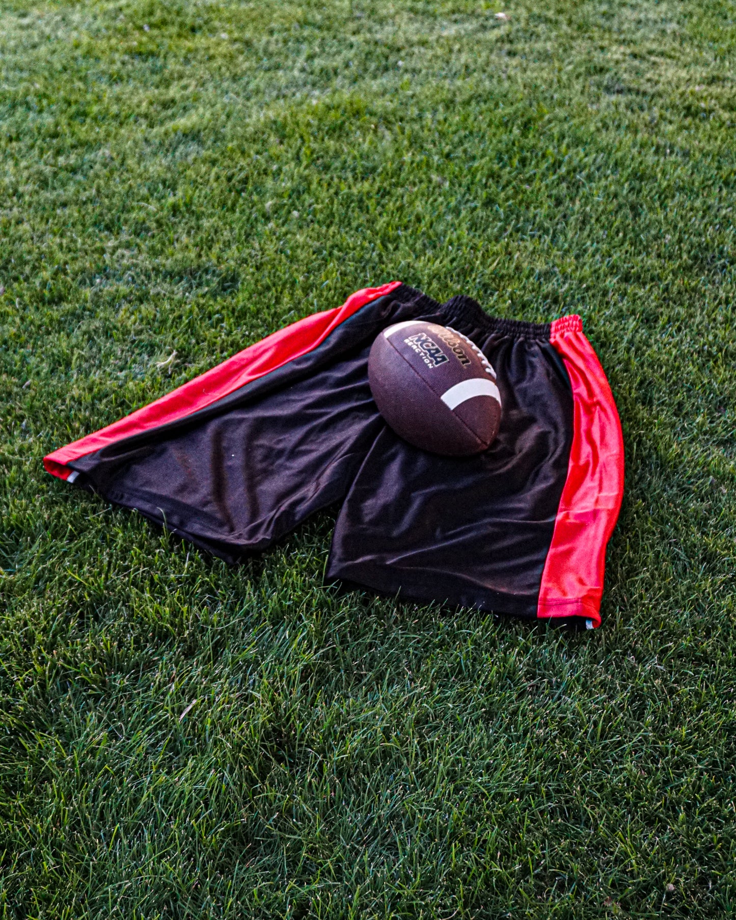 Basketball shorts (Vick)