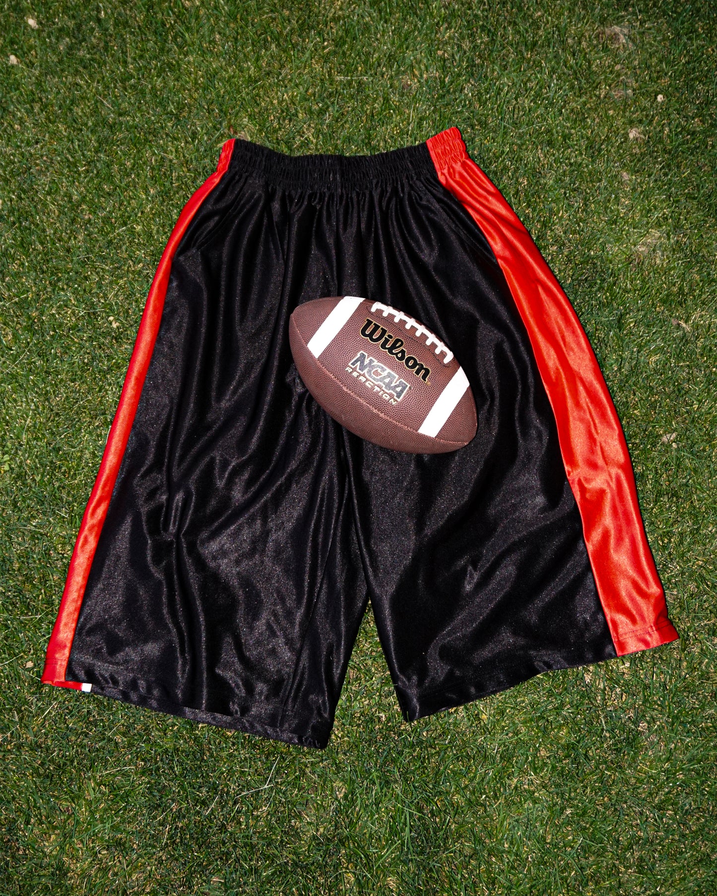 Basketball shorts (Vick)